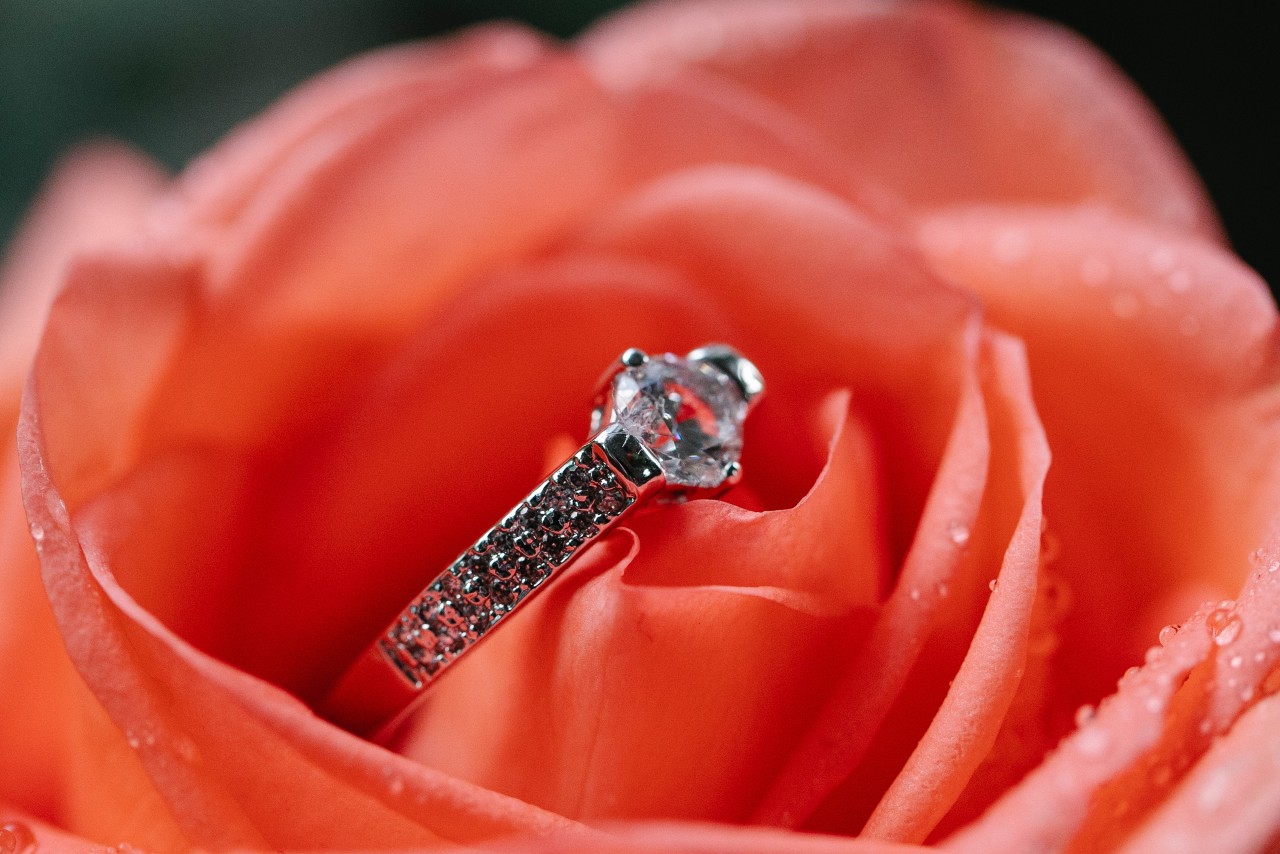 A close-up of an elegant diamond engagement ring nestled inside of a rose covered in dewdrops.